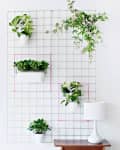 Grid wall with potted plants, wooden table with white lamp, and floral boots.