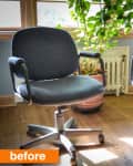 Two gray office chairs on wooden floor near a large potted plant and window.