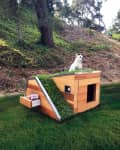 Modern wooden dog house with grass roof, small window, and a drawer containing dog treats, set in a lush garden.