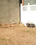 Empty backyard with bare soil, a gray wall, white fence, and two planters.