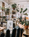 Loft living room with yellow sofa, geometric pillows, wooden coffee table, and plants on shelves against brick walls.