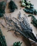 Assorted fresh and dried herbs, including rosemary, mint, and lavender, arranged on a wooden surface.