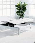 Adjustable bed frame in a bright room with large windows, a side table with a lamp, and a potted plant on a white rug.