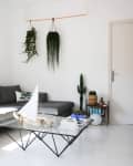 Modern living room with gray sectional sofa, glass coffee table, hanging plants, and cactus decor.
