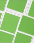 Multiple Pantone swatches in vibrant green, arranged in a grid pattern.
