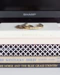 Stack of books with a decorative box and gold horseshoe on top, in front of a Sharp TV.