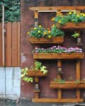 Wooden vertical garden with marigolds and pink flowers against a brown wall, next to a wooden fence.