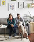 Couple sitting on a gray sofa with a large dog, surrounded by framed art and a plant on a shelf.