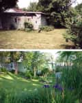 Two garden views with lush greenery, a small shed, and blooming purple irises in the foreground.