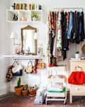 Organized closet with hanging clothes, wooden dresser, shelves with shoes, handbags, and potted plants.