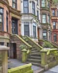Brownstone row houses with ornate facades, large windows, and stone steps lined with greenery.