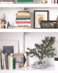 Bookshelf with colorful books, small decorative trees, framed art, a mini pine tree, and a vintage camera.