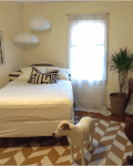 Bedroom with a bed, geometric rug, potted plant, mirror, and a dog.
