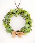 Succulent wreath with various green plants and a burlap bow, hanging on a wall.