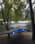 Airplane nestled among trees in a forest, with blue lights illuminating the wing.