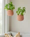 Two hanging plants in textured terracotta pots near a window, with a beige sofa and geometric cushion below.
