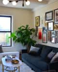 Living room with dark sofa, gallery wall, large plant, and modern light fixture. Coffee table with books and decorative items.