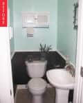 Small bathroom with mint green walls, white cabinet, pedestal sink, and plants on toilet tank.