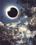 Solar eclipse viewed through tree branches with a cloudy sky.