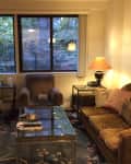 Cozy living room with brown sofa, glass coffee table, floral rug, and large window with trees outside.