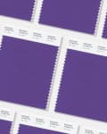 Pantone color swatches labeled 18-3838 TCX Ultra Violet arranged diagonally.