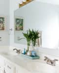 Bathroom with double sink vanity, large mirror, potted plant, towel, and framed tree artwork on light blue walls.