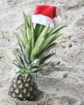 Pineapple with a Santa hat on sandy beach.