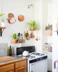 Bright kitchen with hanging copper pots, potted plants, wooden shelves, and a white stove with a kettle.
