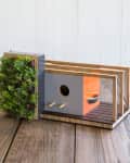Modern birdhouse with vertical garden, wooden slats, and orange accent on a wooden surface.