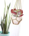 Hanging succulent in a geometric brass planter with a tall plant in a turquoise pot in the background.