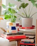 Indoor plants on a wooden table with stacked books and a colorful woven basket, next to a wooden dresser.