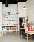 Open-plan office with four people working at desks, a white dog, pendant lights, and a floral wallpapered wall with shelves.