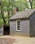 Small wooden cabin with a chimney in a forest setting, surrounded by trees.