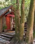 Rustic wooden cabin with a red door, surrounded by tall trees and a stone path.