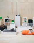 Pets lounging on various modern pet furniture, including beds, cubes, and platforms, in a minimalist room setting.