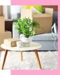 Stacked moving boxes and a potted plant on a round table in a living room with a gray sofa and an iron.
