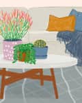 Living room with a white sofa, colorful cushions, and a coffee table featuring potted plants and a cactus.