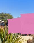 Pink silhouette of a house over a garden with various green plants and trees.