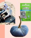 Collage of a humidifier, water bottle, beachgoers on a blanket, washing machine cleaner, sofa corner, and blue pumpkin decor.