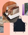 Collage of home decor items: pink glass bowl, white lamp, cat in litter box, purple candles, apron, and gold moon wall hanging.