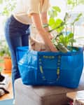 Person placing a plant and pillow into a blue IKEA bag on a sofa, with a dog lying on a rug nearby.