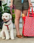 Person holding a red and white spiral tote bag with flowers and a baguette, standing next to a white dog on a leash.