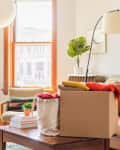 cardboard box with clothes on coffee table