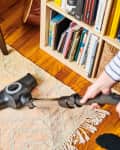 vacuuming area rug at home