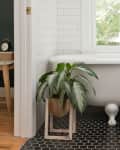 Bathroom with a white clawfoot tub, black hexagonal tile floor, wooden cabinet, and a potted plant.