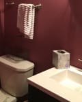 wine colored bathroom before makeover