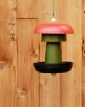 red, green, and black DIY modern bird feeder hanging in front of a wood wall