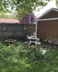 Before: overgrown area in backyard