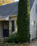 Small beige house with dark shutters, a sloped roof, and a tall evergreen tree in front.