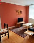 Before: Living room/dining room with terracotta accent wall
